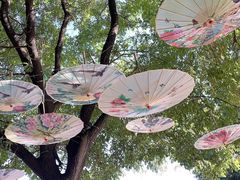 -西安汉城湖景区