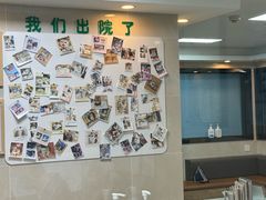 -半岛宠物医院24小时·内窥镜·牙科·碎石中心(府城大道店)