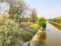 -赵州桥景区