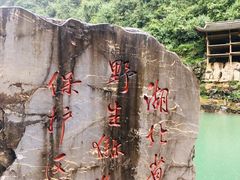 -狮子关旅游区