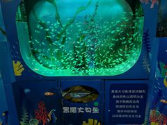 -沙沙哗啦海洋馆(华宇百花谷店)