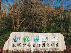 -盐城丹顶鹤湿地生态旅游区