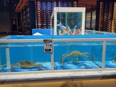-名人坊·新派粤菜(河西奥体博览中心金鹰世界店)