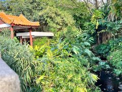 -深圳仙湖植物园