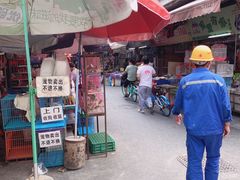 -清平路水族市场