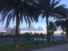 -花莲东大门国际观光夜市
