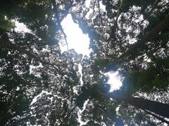 -都江堰普照寺