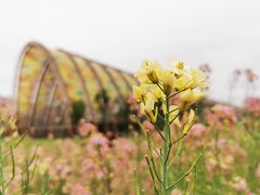 -中国天府农业博览园