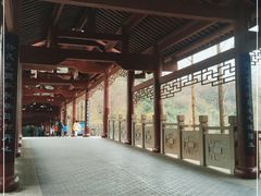-重庆彩云湖湿地公园