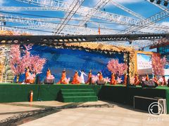 -荷兰花海