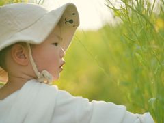 -前小桔亲子创意农场·草莓采摘·露营烧烤