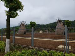 -安徽大青山野生动物世界