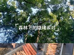 -金银湖国家城市湿地公园