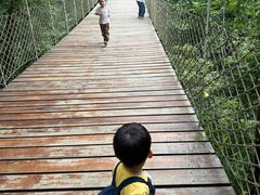 -敬亭山风景名胜区