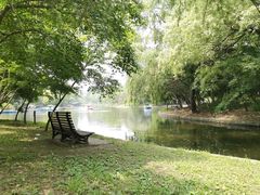 -上海共青森林公园