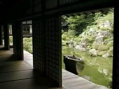 -大可堂普洱茶馆(襄阳南路馆)