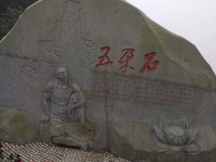 -铁山坪森林公园