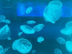 -南京金牛湖风景区