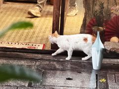 -西关84·History·Art·Cafe