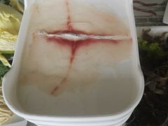 -大连海鲜斑鱼火锅(安平店)