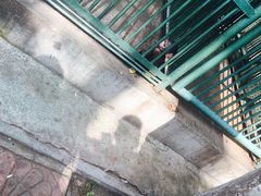 -秦皇岛野生动物园