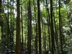 -凤栖山