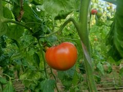 -岐口老刘海鲜(金港购物中心店)