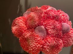 -炳胜公馆(珠江新城店)