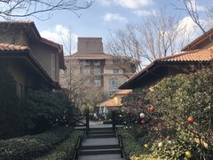 -芭东小镇温泉