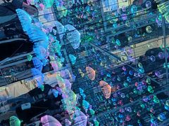 -星空失恋博物馆(北京路旗舰店)