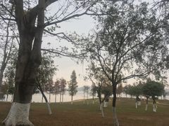 -松山湖南湖湾露营营地