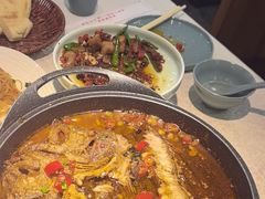 -洞庭家宴·头牌甲鱼(广渠门店)