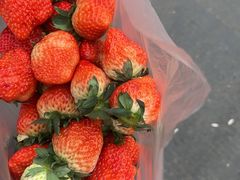 -杰记水果(桃源店)