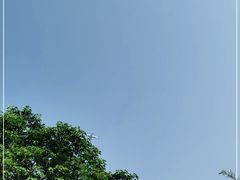 -厦门悦华酒店