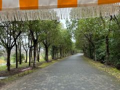 -上海海湾国家森林公园