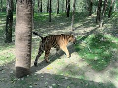 -北京野生动物园