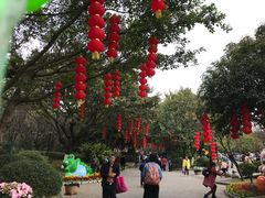 -柳州市动物园