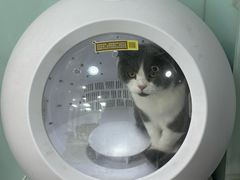 -中农大我爱我爱动物医院·核磁CT·猫病·24小时夜诊中心(石佛营店)