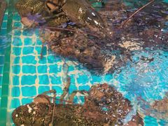 -梦都海鲜酒家(万达广场江桥店)