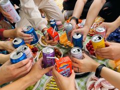 -春花秋色城市公园