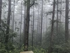 -白草畔自然风景区