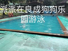 -良成狗狗乐园