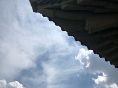 -武汉大学-樱园