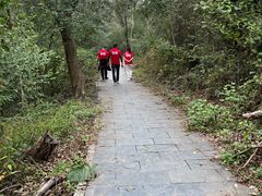 -青龙山国家森林公园