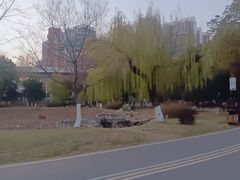 -堤角公园