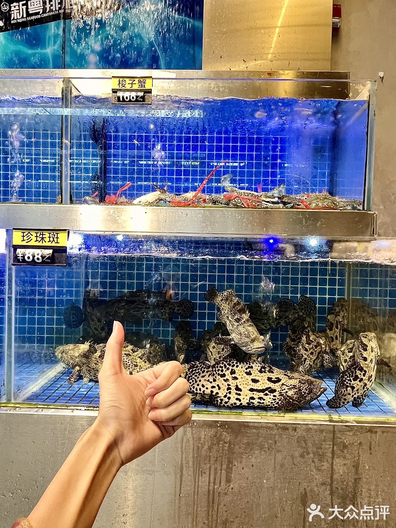 📍在珠海 这家尊嘟很多人来吃 