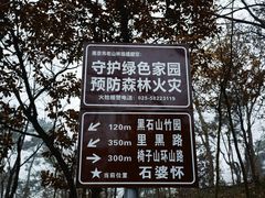 -老山国家森林公园