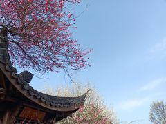 -杭州植物园