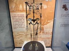 -天津自然博物馆