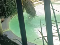 -费瑟代尔野生动物园